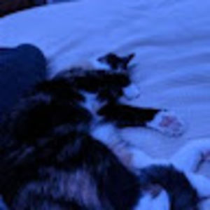 Meet your Posher, Uuglyvy